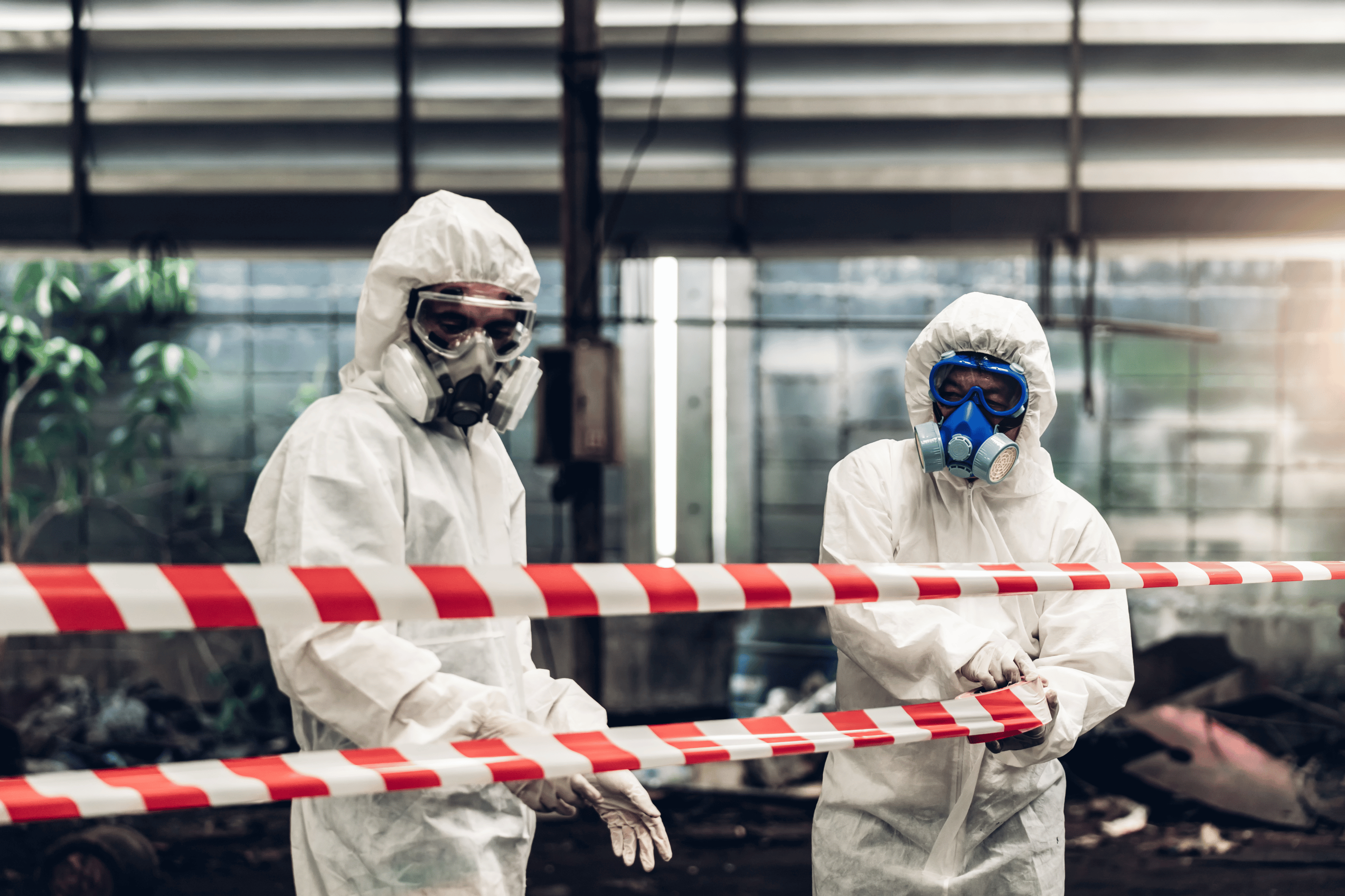 Asbestos removalists in PPE gear, ready to remove asbestos.